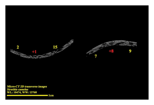 Details are in the caption following the image