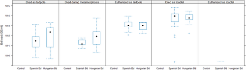 Details are in the caption following the image Details are in the caption following the image