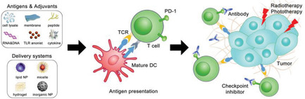 Improving Cancer Vaccine Efficiency by Nanomedicine Issue 3, 2019