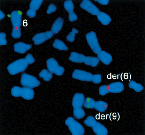 inline image