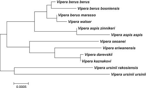 Details are in the caption following the image
