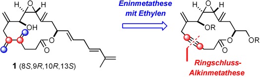 What is Amphidinolide V? Report on a Likely Conquest