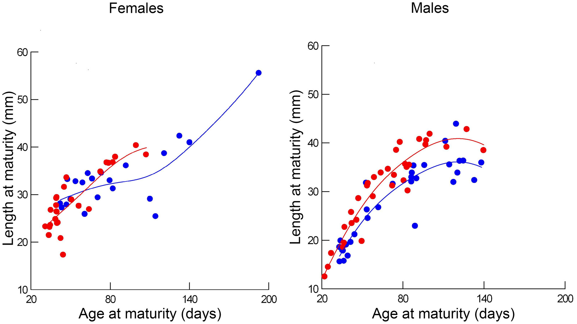 Phenotypic plasticity in the sailfin molly III: Geographic variation in reaction norms of growth and maturation to temperature and salinity