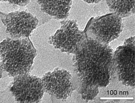 Self-Assembled FeCo/Gelatin Nanospheres with Rapid Magnetic Response and High Biomolecule-Loading Capacity