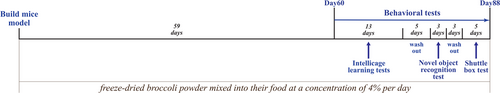 Details are in the caption following the image Details are in the caption following the image