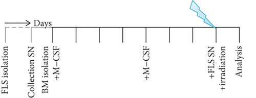 Details are in the caption following the image