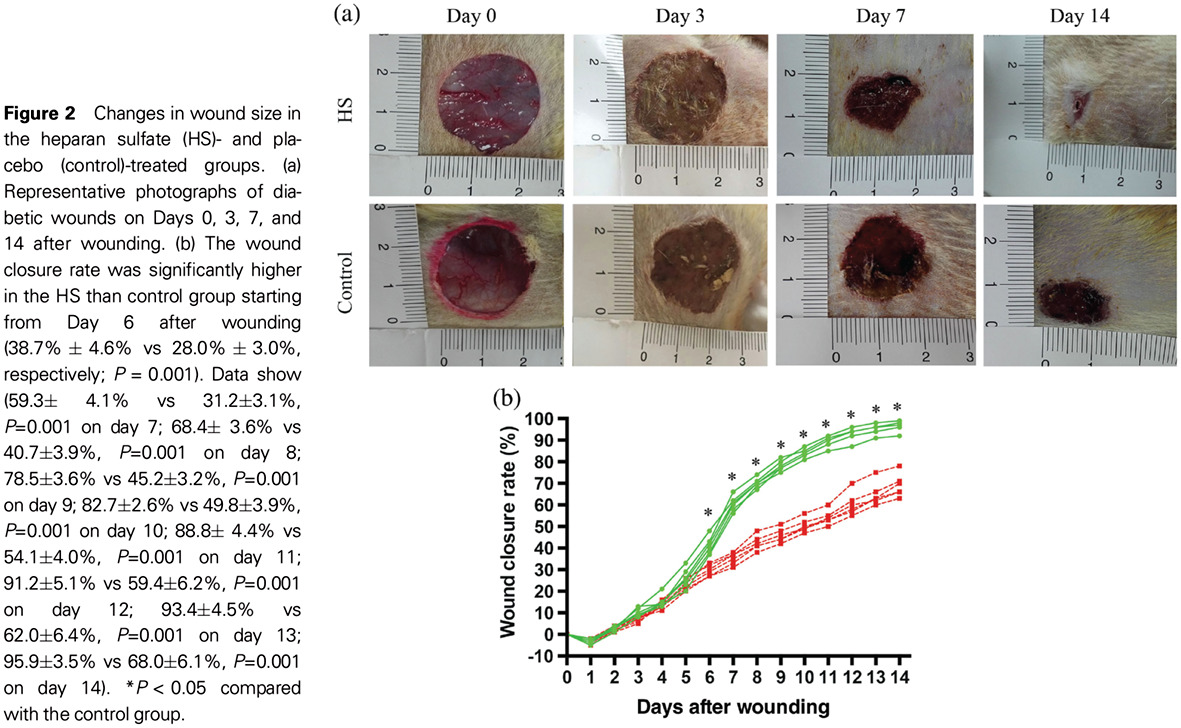 Heparan sulfate inhibits inflammation and improves wound healing by downregulating the NLR family pyrin domain containing 3 (NLRP3) inflammasome in diabetic rats