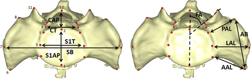 Details are in the caption following the image