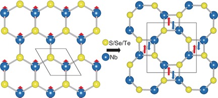 Zweidimensionales Haeckelit-NbS2 – ein diamagnetischer Halbleiter mit Nb4+-Ionen und hoher Ladungsträgermobilität