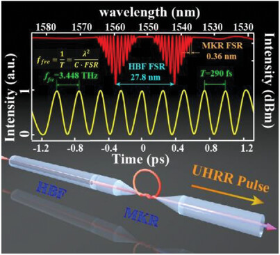 Highly Birefringence-Guided Microfiber Resonator for Ultra-High Repetition Rate Ultrashort Pulse