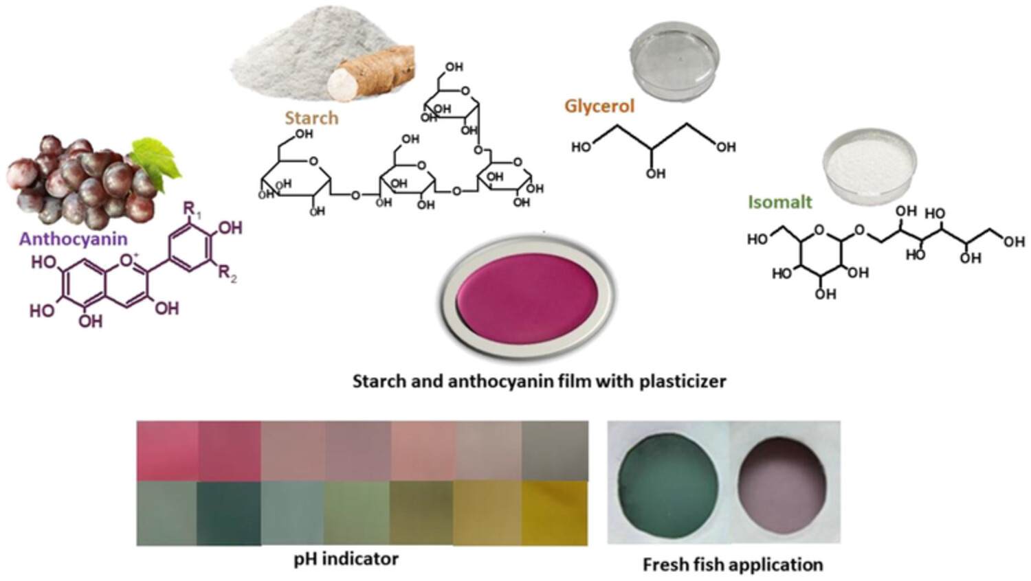 Plasticizers' effect on pH indicator film based on starch and red grape skin extract for monitoring fish freshness