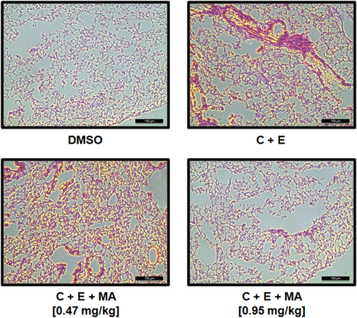 Details are in the caption following the image Details are in the caption following the image