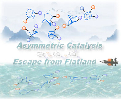 Catalytic Asymmetric Synthesis of Chiral Caged Hydrocarbons as Arenes Bioisosteres