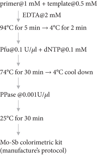 Details are in the caption following the image