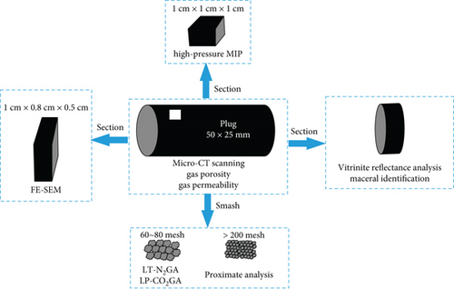 Details are in the caption following the image Details are in the caption following the image