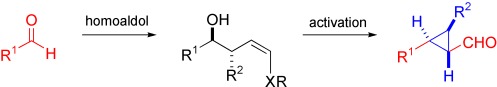 Enantioselective Synthesis of Cyclopropanes by Aldehyde Homologation