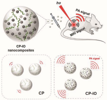 Photoacoustic and Magnetic Resonance Imaging Bimodal Contrast Agent Displaying Amplified Photoacoustic Signal