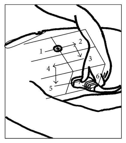 Details are in the caption following the image Details are in the caption following the image