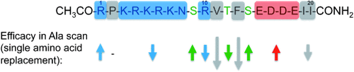 Details are in the caption following the image