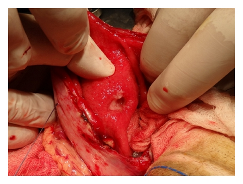 Details are in the caption following the image Details are in the caption following the image