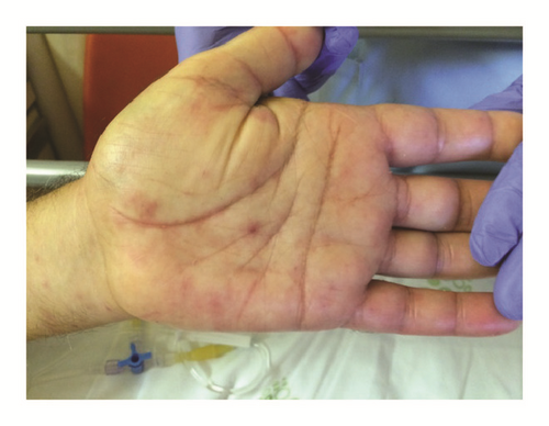 Details are in the caption following the image Details are in the caption following the image