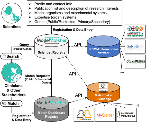 ModelMatcher: A scientist-centric online platform to facilitate collaborations between stakeholders of rare and undiagnosed disease research