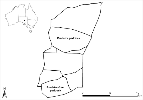 Details are in the caption following the image