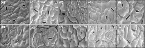 Details are in the caption following the image Details are in the caption following the image