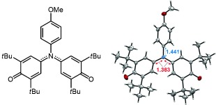 A Triphenylamine with Two Phenoxy Radicals Having Unusual Bonding Patterns and a Closed-Shell Electronic State
