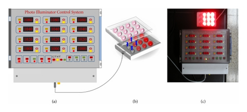 Details are in the caption following the image Details are in the caption following the image