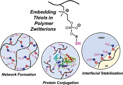 Embedding Thiols into Choline Phosphate Polymer Zwitterions