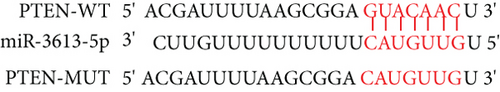 Details are in the caption following the image