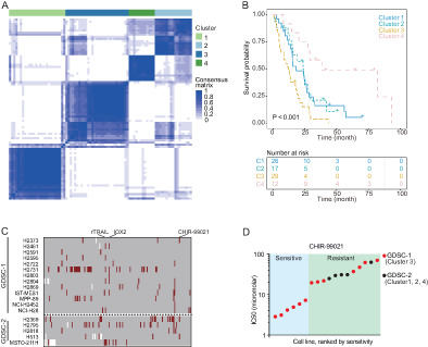 A comprehensive study of alternative splicing in malignant pleural mesothelioma identifies potential therapeutic targets in a new cluster with poor survival