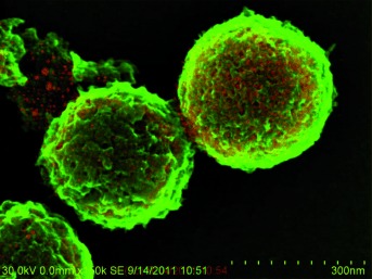 Control of Solid Catalysts Down to the Atomic Scale: Where is the Limit?