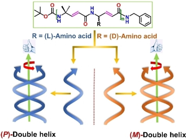 Design of Chiral β-Double Helices from γ-Peptide Foldamers