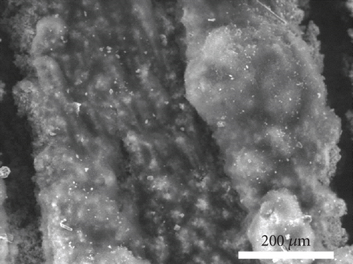 Details are in the caption following the image