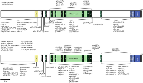 Details are in the caption following the image Details are in the caption following the image