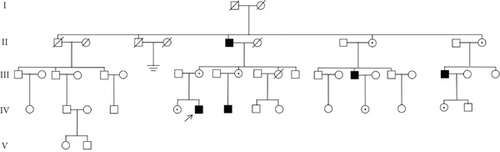 Details are in the caption following the image Details are in the caption following the image