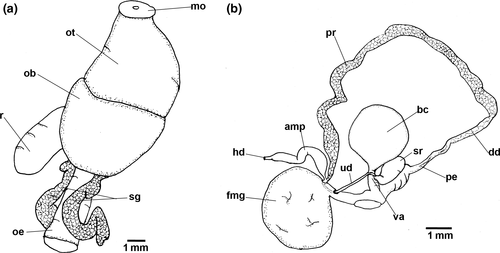 Details are in the caption following the image Details are in the caption following the image