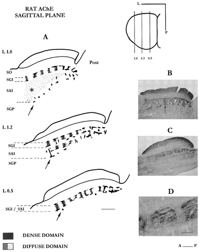 Details are in the caption following the image