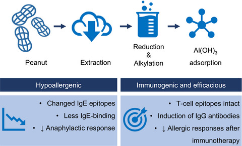 Chemically modified peanut extract shows increased safety while maintaining immunogenicity