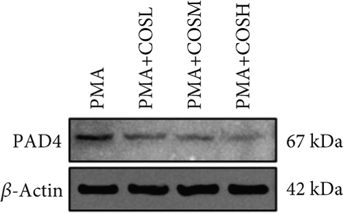 Details are in the caption following the image