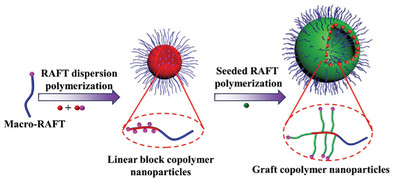 Exploiting Seeded RAFT Polymerization for the Preparation of Graft Copolymer Nanoparticles