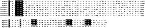 Details are in the caption following the image Details are in the caption following the image