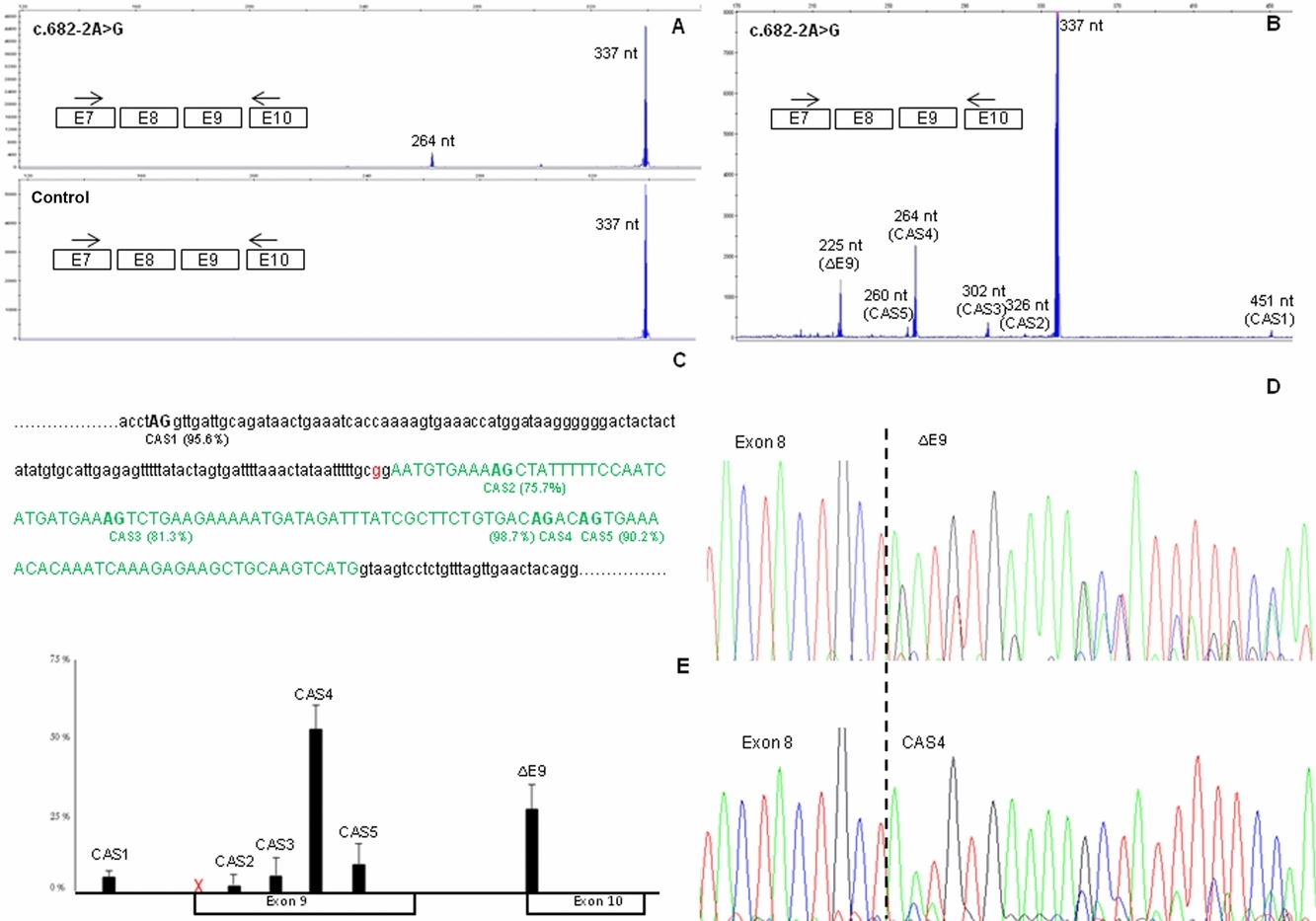 Capillary Electrophoresis Analysis of Conventional Splicing Assays: IARC Analytical and Clinical Classification of 31 BRCA2 Genetic Variants