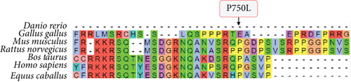 Details are in the caption following the image