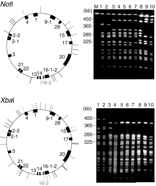 Details are in the caption following the image Details are in the caption following the image