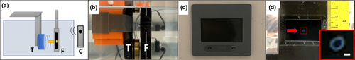 Details are in the caption following the image Details are in the caption following the image