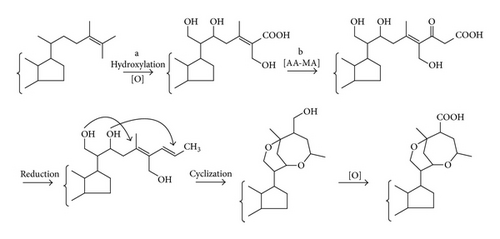 Details are in the caption following the image
