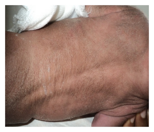 Details are in the caption following the image Details are in the caption following the image